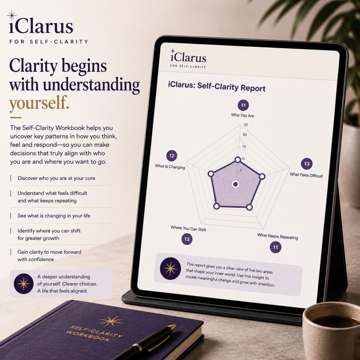 iClarus: Self-Clarity Workbook