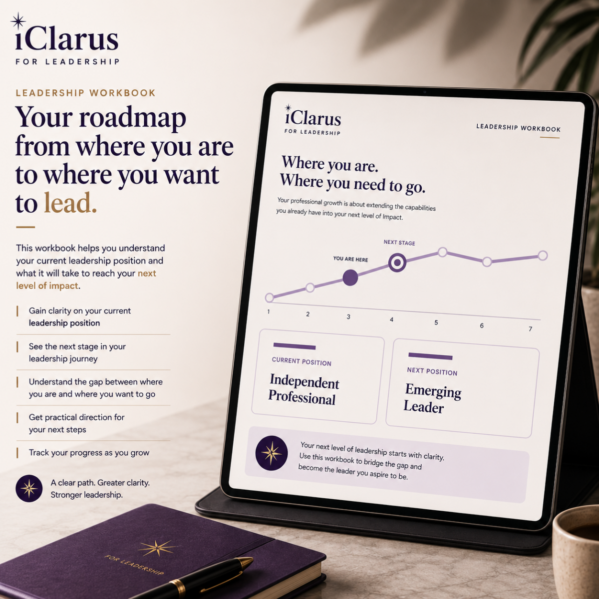 iClarus: Leadership Workbook
